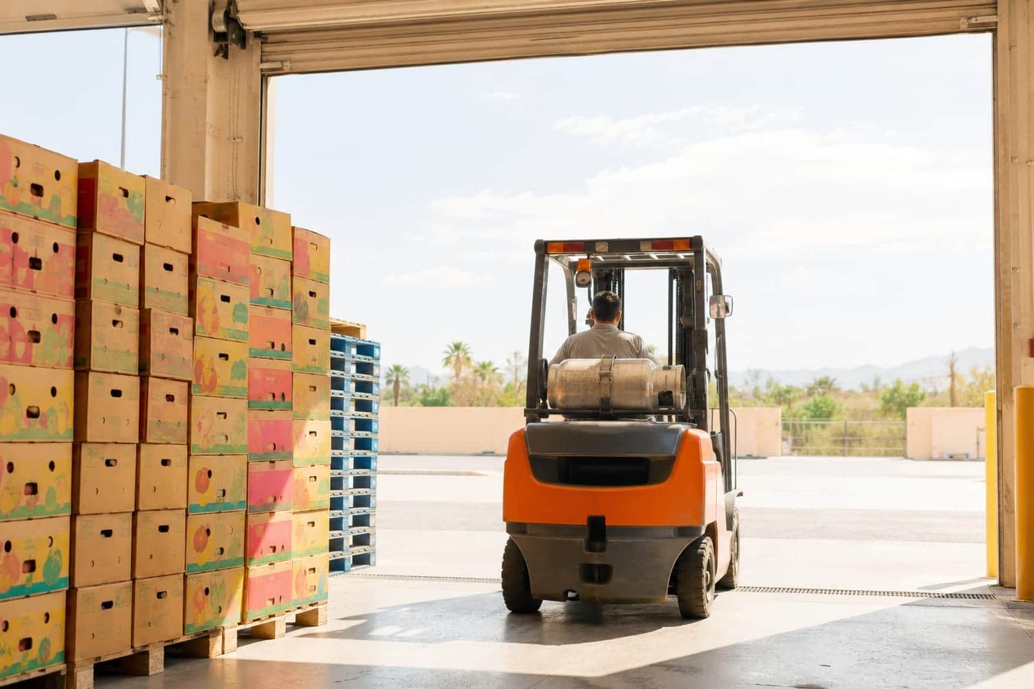 Open loading bay in full daylight, colorful stacked cartons and one worker seen from behind, sky beyond the dock